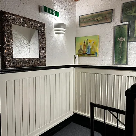 Lovely Rooms, Center, Shared Bathroom, Windows To Corridor