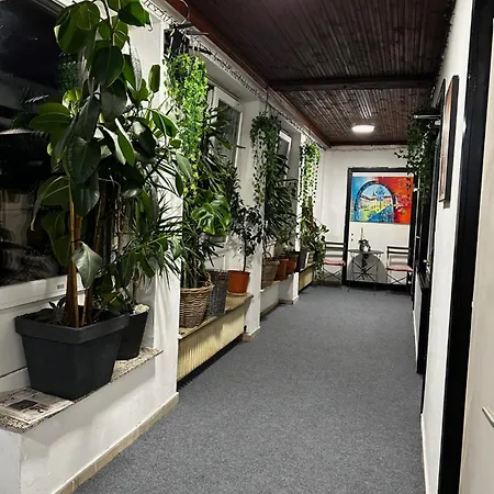 Homestay Lovely Rooms, Center, Shared Bathroom, Windows To Corridor *