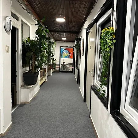 Homestay Lovely Rooms, Center, Shared Bathroom, Windows To Corridor *