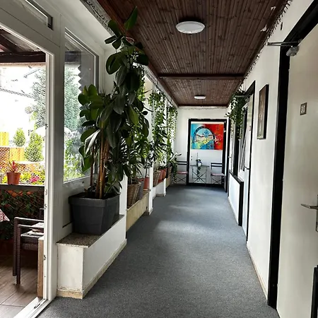 Lovely Rooms, Center, Shared Bathroom, Windows To Corridor *
